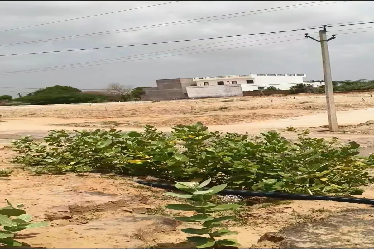 30×66 PLOT FOR SALE ON 80 FEET ROAD | SARDARSHAHAR HIGHWAY, KARNPURA ROAD, TARANAGAR