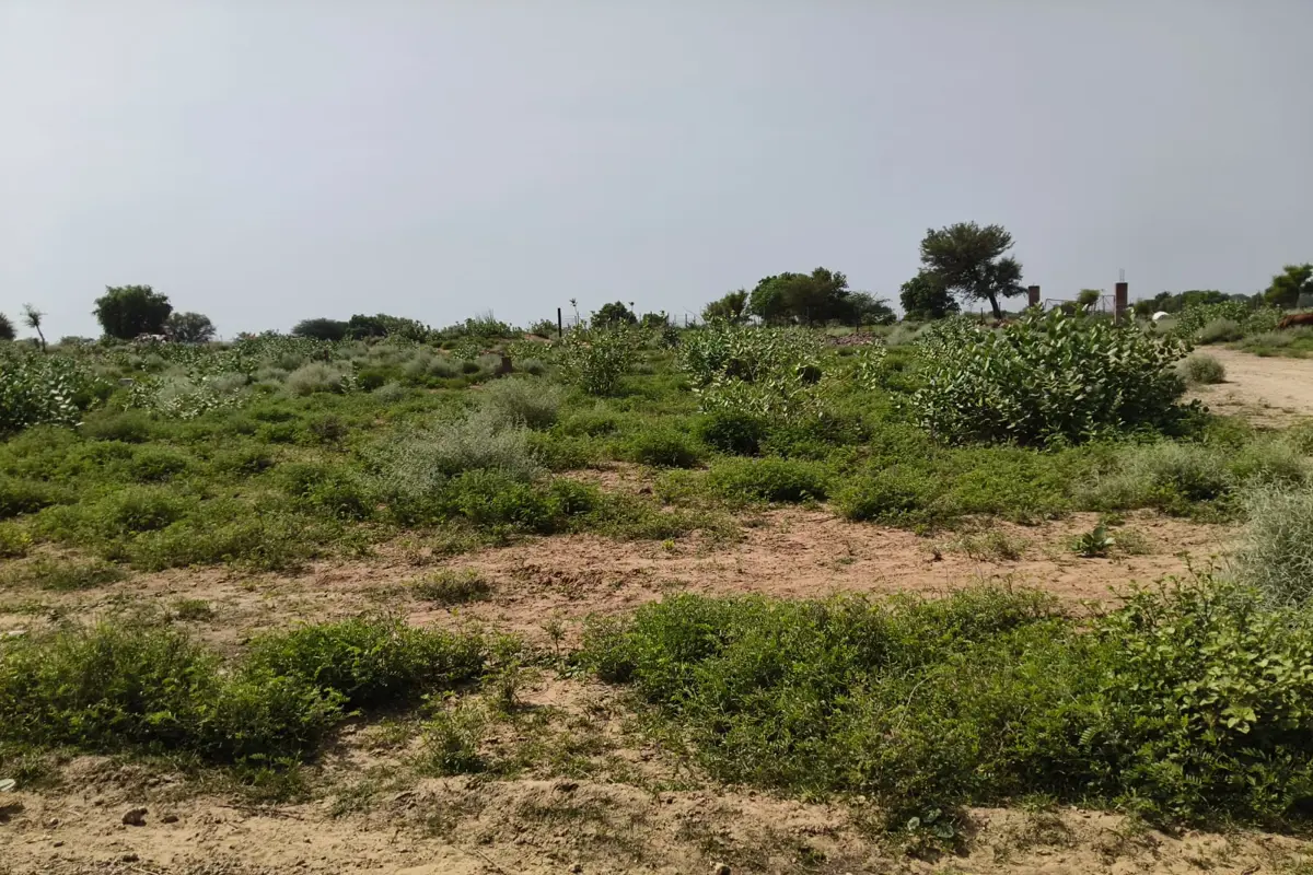 90×46 CORNER PLOT FOR SALE | TWO-SIDE ROAD | AADRESH COLONY, WARD NO. 25, SECTOR 2,