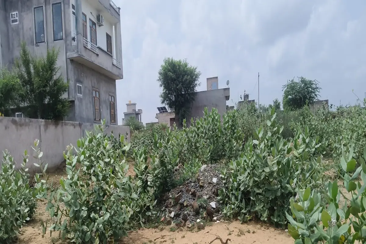 60 X 60 FEET NORTH FACING CORNER PLOT ON CHURU ROAD, TARANAGAR