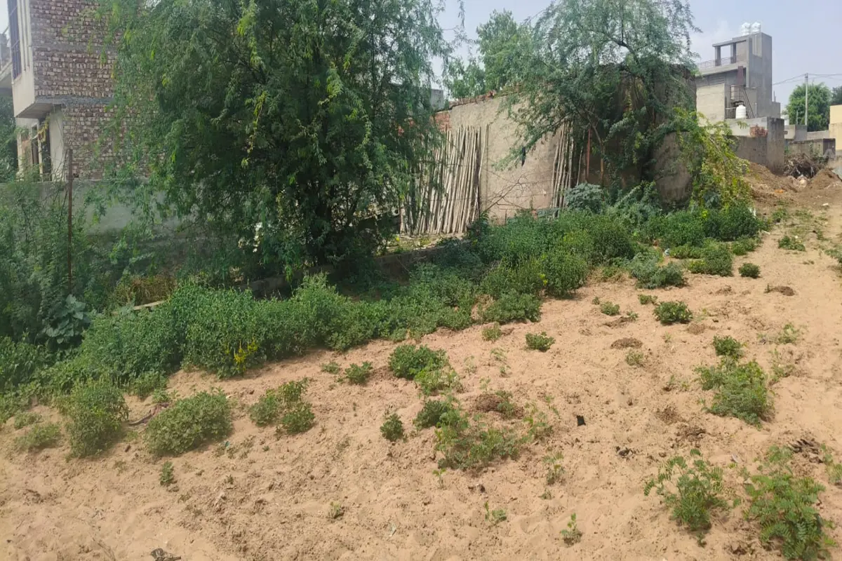 77*40 RESIDENTIAL PLOT FOR SALE BEHIND CHAUDHARY COLLAGE TARANAGAR