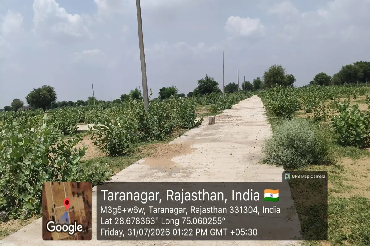 40×75  PLOT FOR SALE | PRIME LOCATION | WARD NO. 26, TARANAGAR