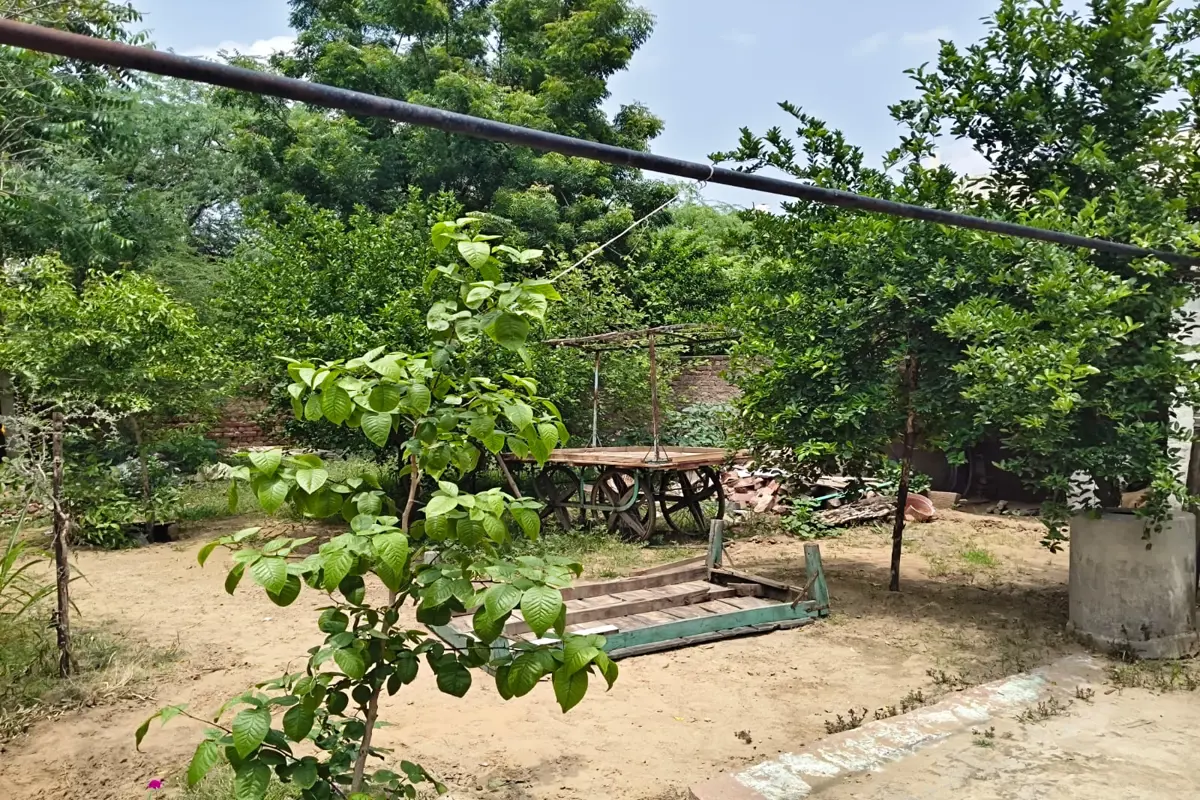42 × 52 FEET PLOT | WARD NO. 11 | INSIDE MARKET