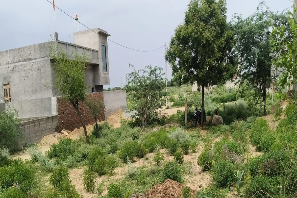 35*60 CORNER PLOT FOR SALE IN LAYOUT COLONY