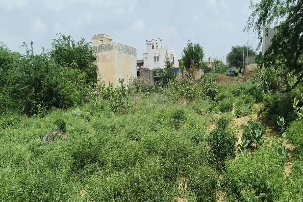 50×50 PATTA SUDA PLOT FOR SALE | PRIME LOCATION | WARD NO. 26, SECTOR 3