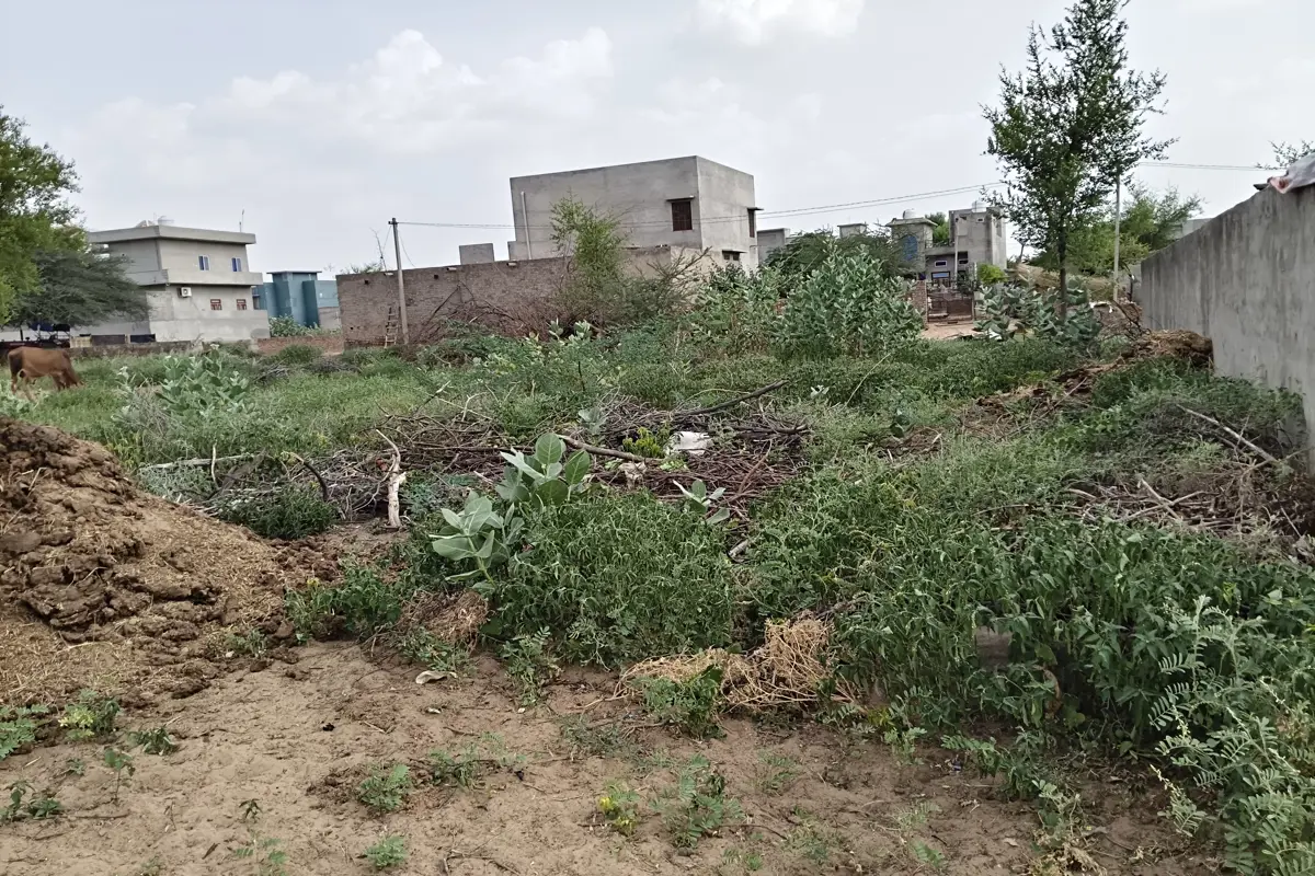 50*50 KA RESDINTEL PLOT FOR SALE IN TARANAGAR 
