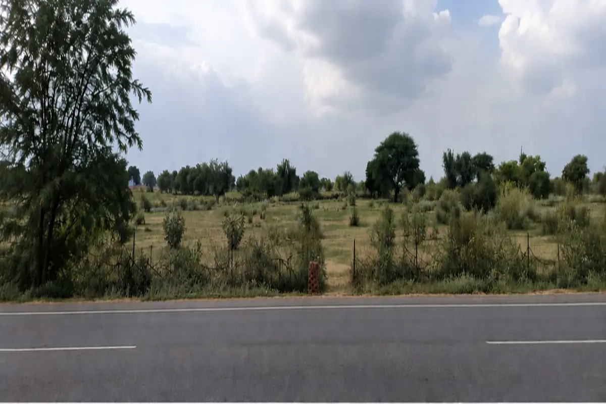 2 BIGHA LAND FOR SALE – SARDARSHAHR HIGHWAY, TARANAGAR | 150 FEET FRONT