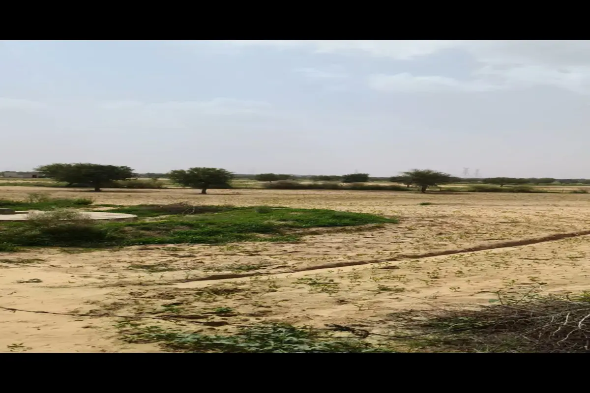 SVA BIGHA ROAD TOUCH AGRICULTURAL LAND FOR SALE TARANAGAR TO CHANGOI ROAD