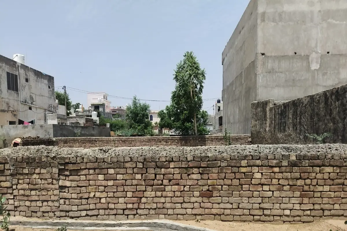 50×50 EAST FACING RESIDENTIAL PLOT FOR SALE | NEAR CHOUDHARY COLLEGE | WARD NO. 24