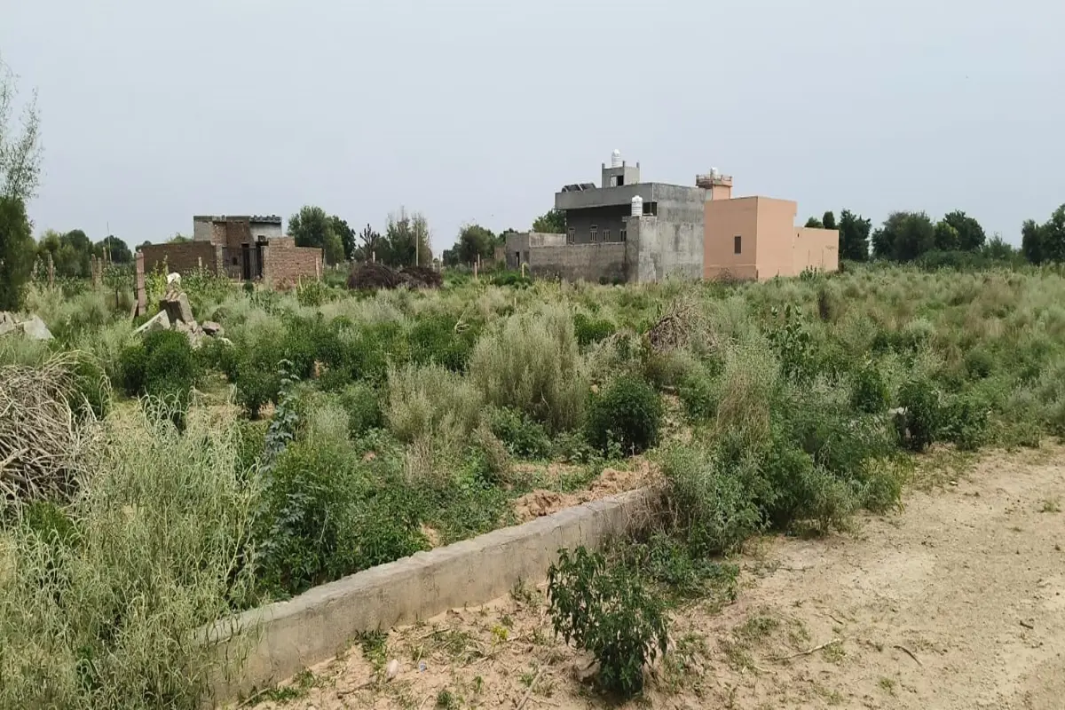 60×50 CORNER RESIDENTIAL PLOT FOR SALE | 2-SIDE ROAD | WARD NO. 26, TARANAGAR | NEAR MAHALANA ROAD