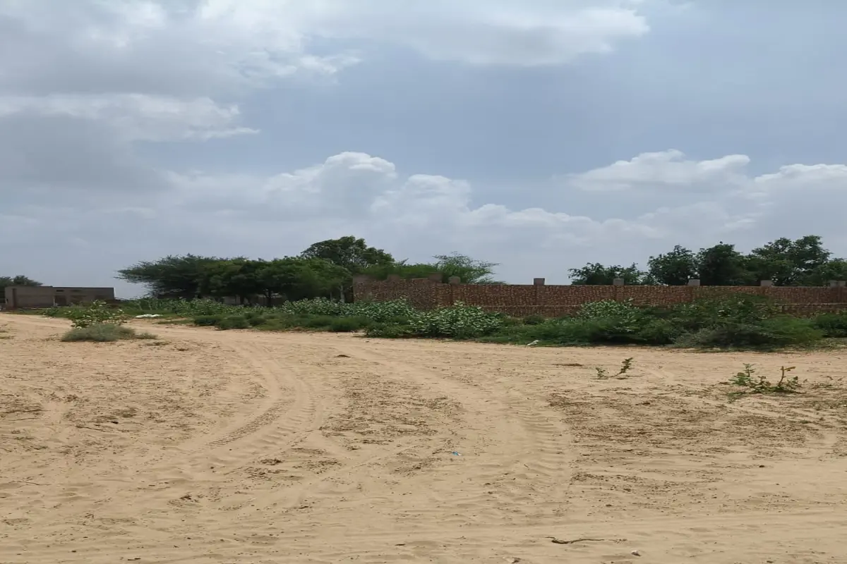 55×60 PRIME PLOT FOR SALE | WARD NO. 25 | SECTOR 2 ROAD | BEST FOR INVESTMENT