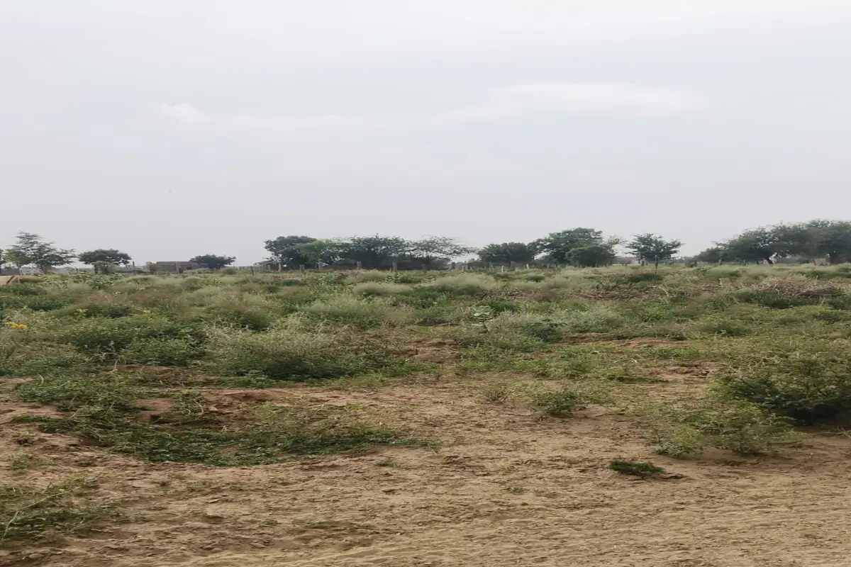 33×50 CORNER PLOT FOR SALE IN SECTOR 3 | 25 FEET ROAD | WARD NO. 26