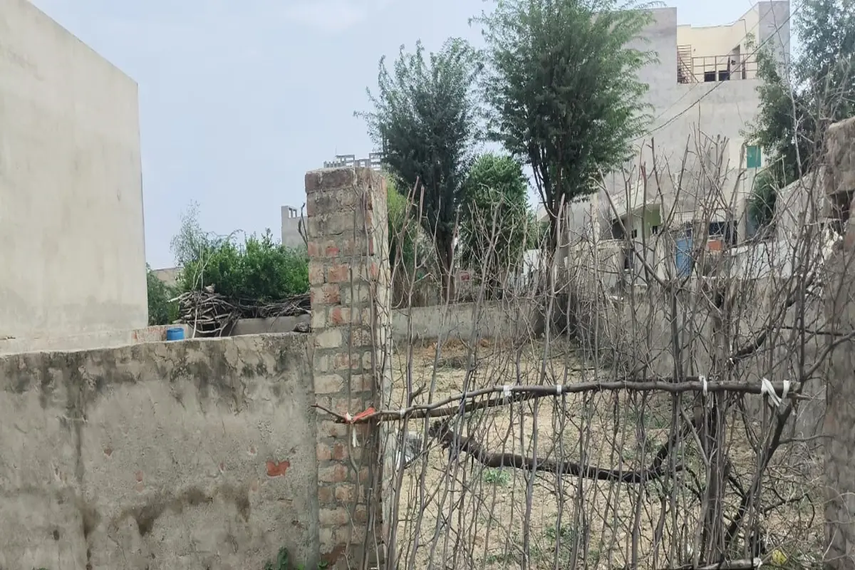 71×50 CORNER PLOT FOR SALE | PRIME LOCATION | WARD NO. 25, SECTOR NO. 2, TARANAGAR