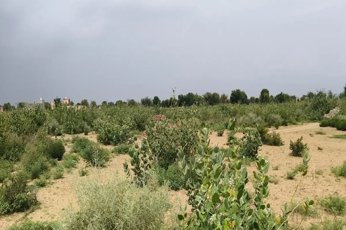 40*60 RESIDENTIAL PLOT FOR SALE TARANAGAR