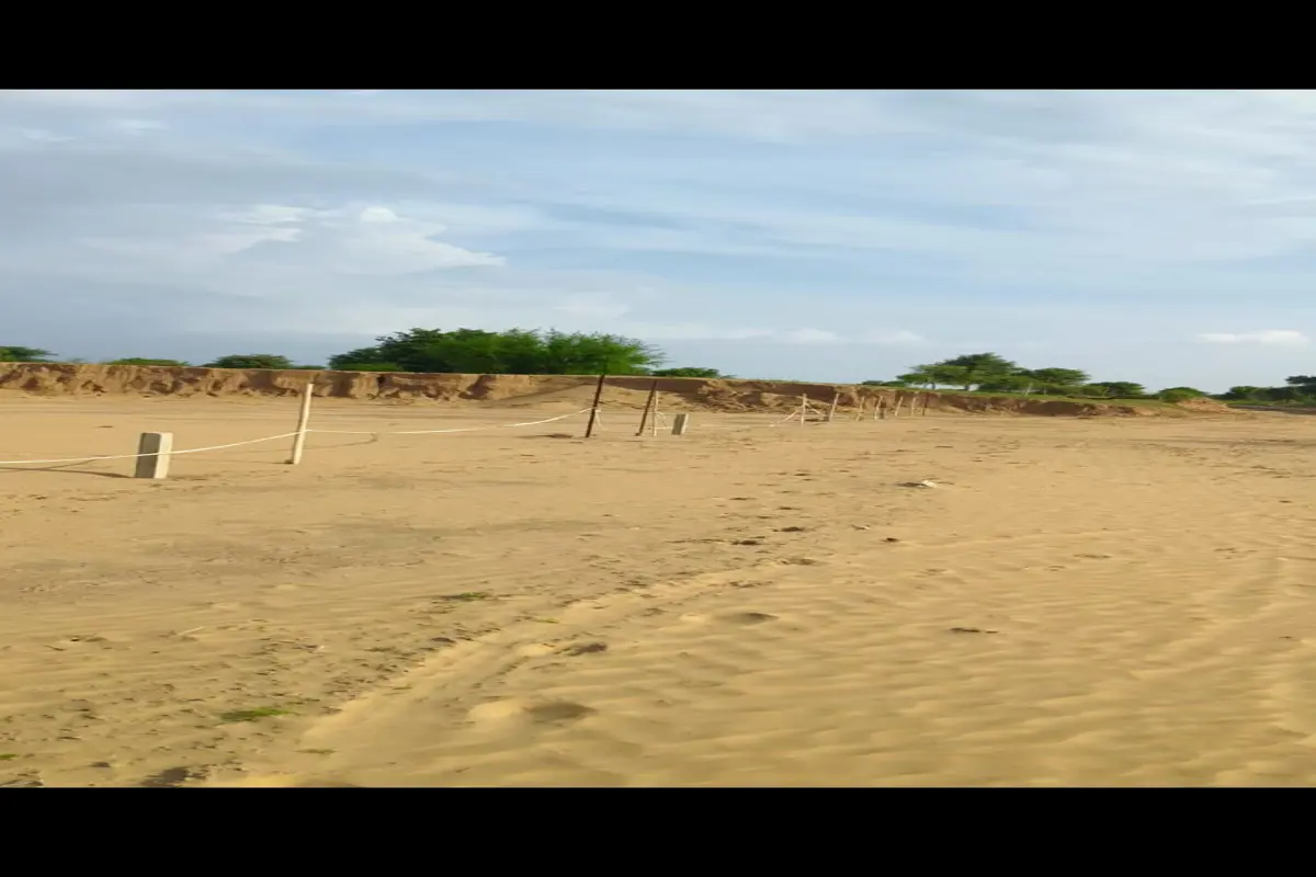 PREMIUM 1.5 BIGHA FARM HOUSE | KARNPURA ROAD, TARANAGAR | PRIME LOCATION