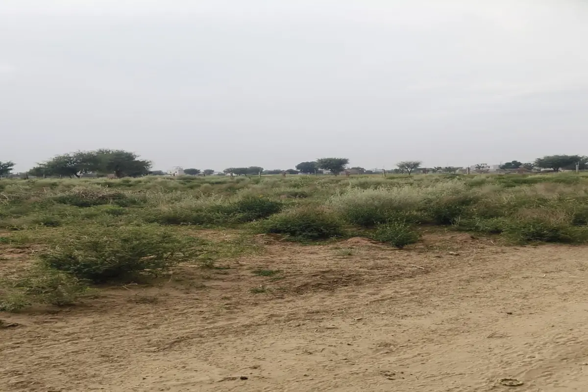 80×40 CORNER PLOT FOR SALE – 2 ROADS | NEAR CHANGOI ROAD, ADARSH COLONY SECTOR 3